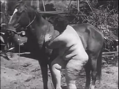 היופי הרוסית לא נותנת זין פורנו ישראלי חדש מפיה במהלך סיור ליפן.